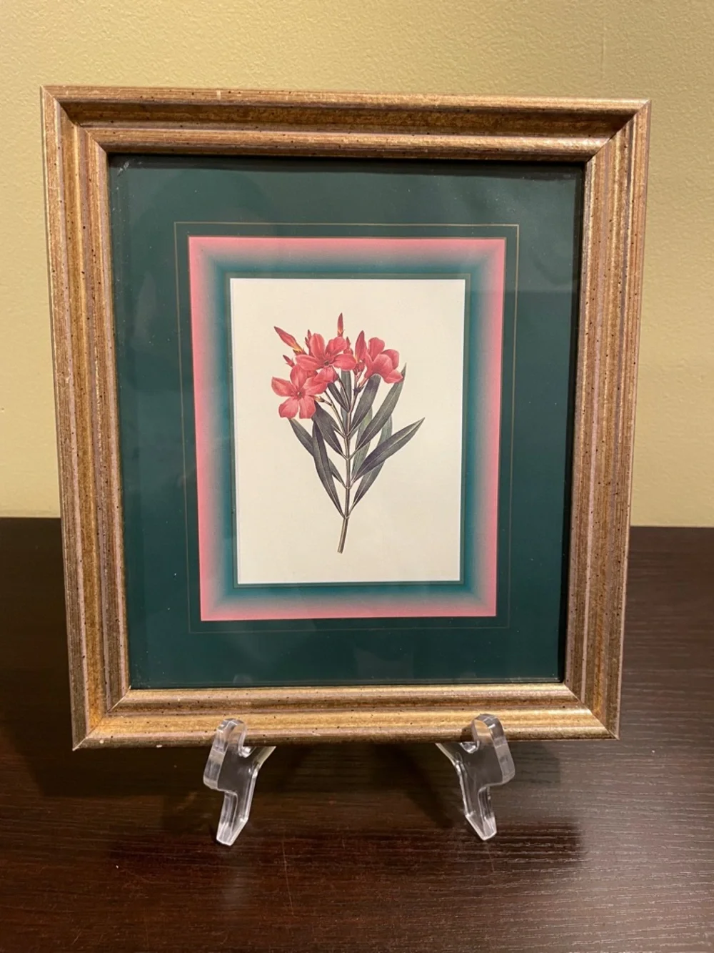 Vintage Botanical Floral Art Print Gold Framed 9”x8”